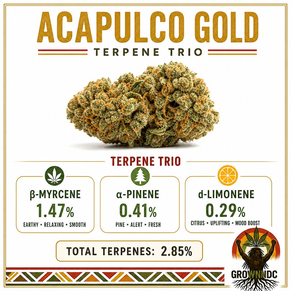 Pre-Rolls Acapulco Gold THC 21.05%