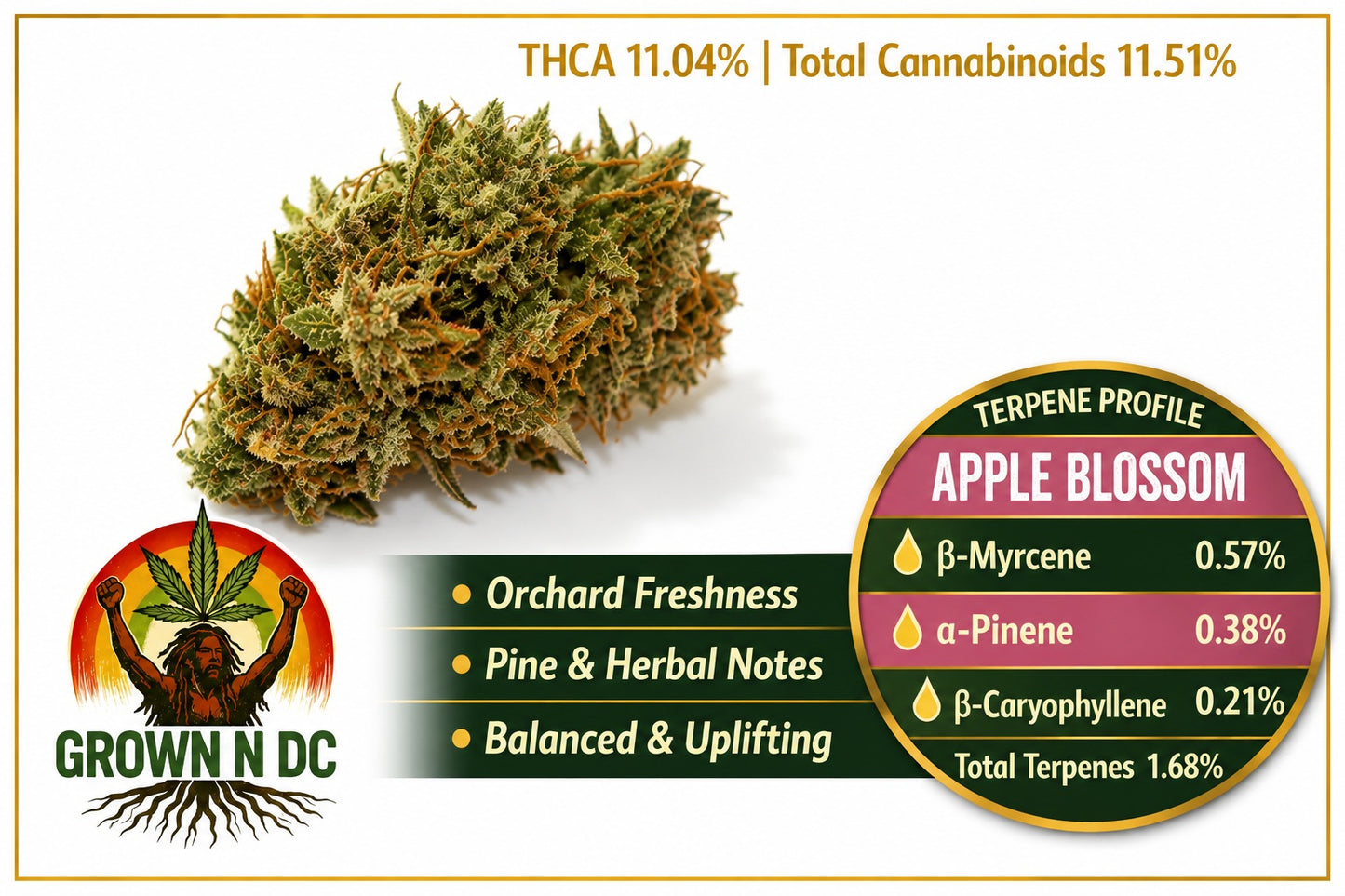 Pre Rolls Apple Blossom THC 11.51%