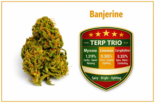 Pre Rolls Banjerine THC 20.96%