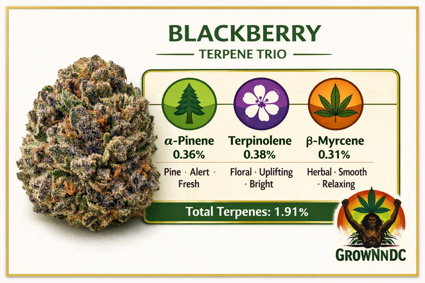 Blackberry THC 11.94%