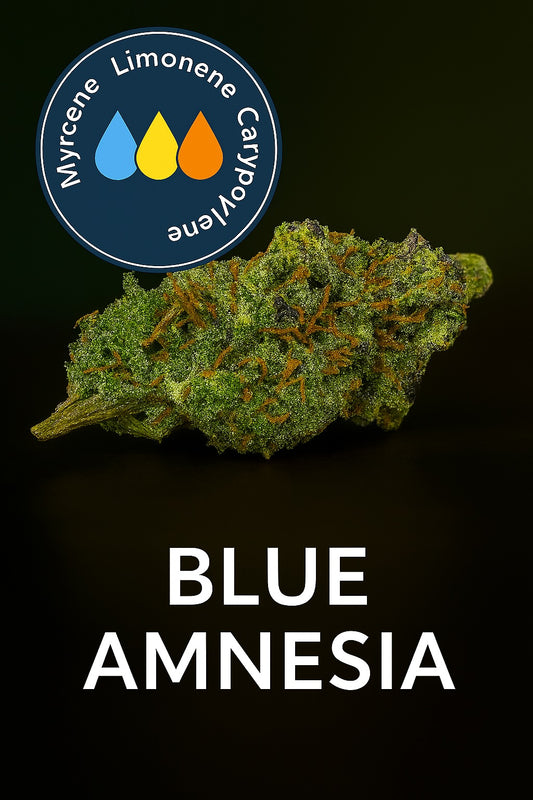 Blue Amnesia 22.47% THC