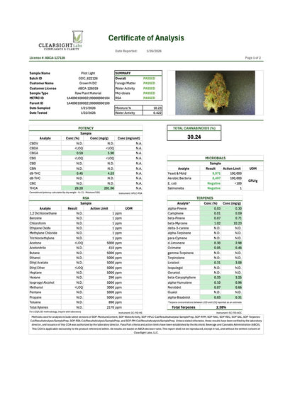 Pre Rolls Pilot Light 29.65% THC