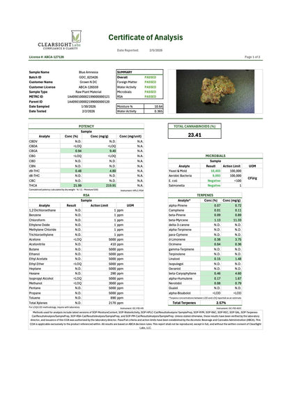 Pre Rolls Blue Amnesia THC 22.47%