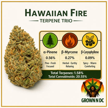 Pre Rolls Hawaiian Fire 20.00%