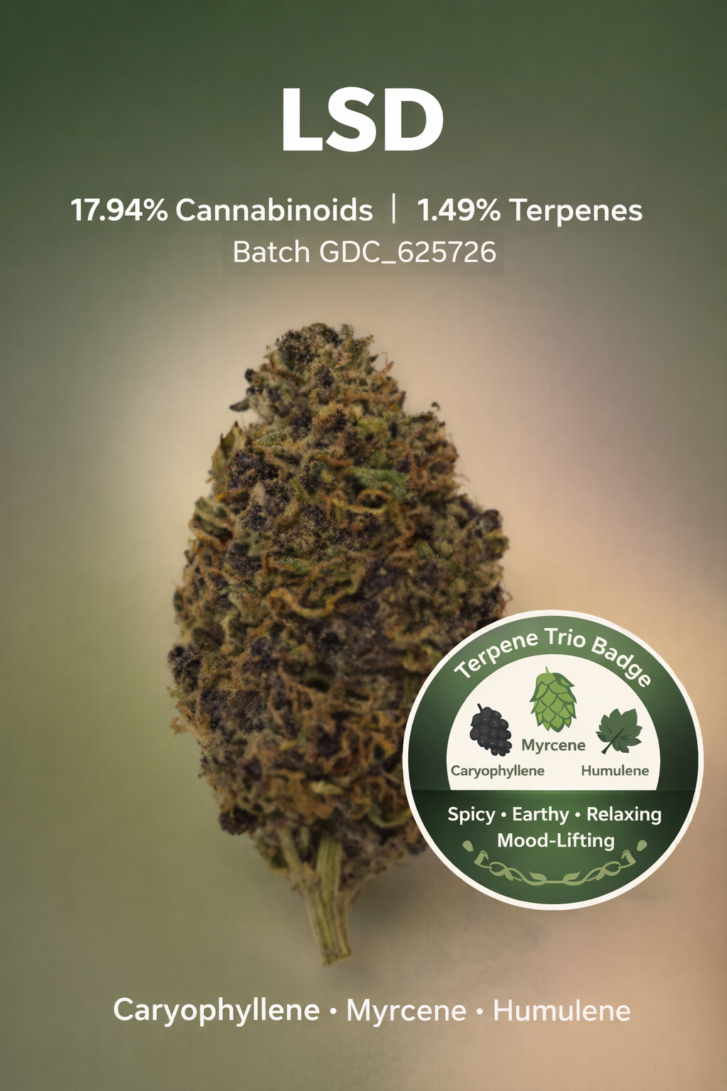 LSD THC 17.33%