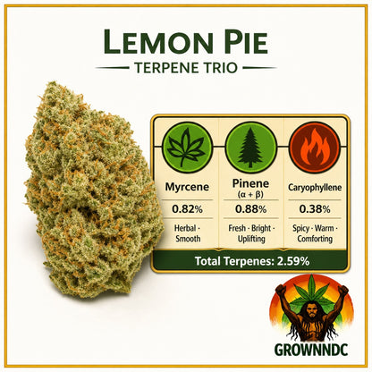 Lemon Pie 18.99%
