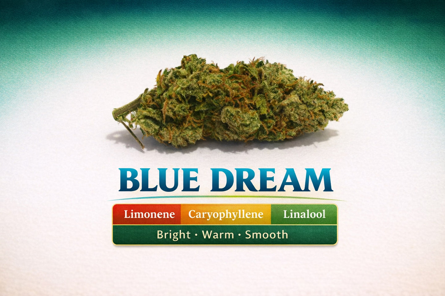 Pre Roll Blue Dream THC 17.58%