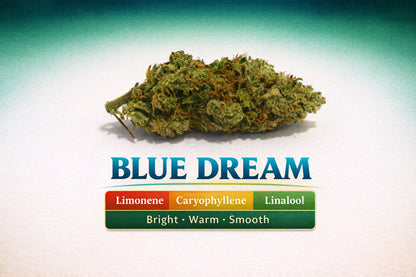 Pre Roll Blue Dream THC 17.58%