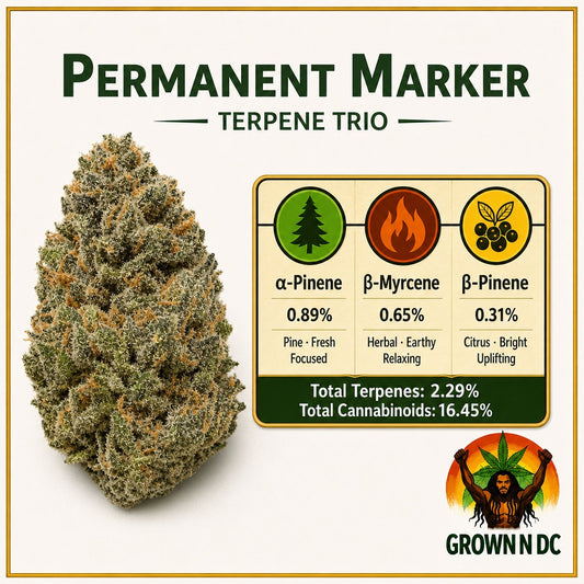 Permanent Marker Pre Rolls THC 16.08%