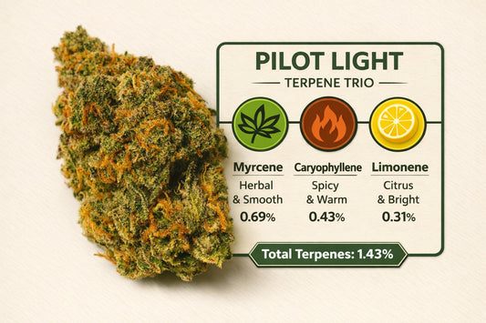 Pre Rolls Pilot Light THC 20.51%