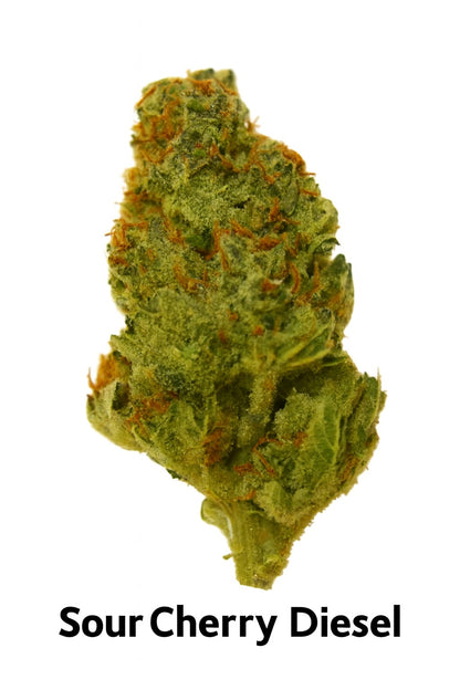 Pre Rolls Sour Cherry Diesel THC 12.48%