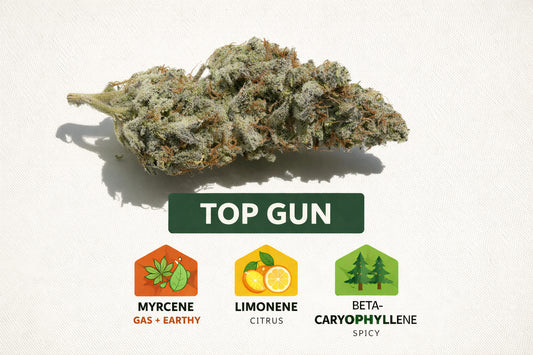 Top Gun 21.03% THC