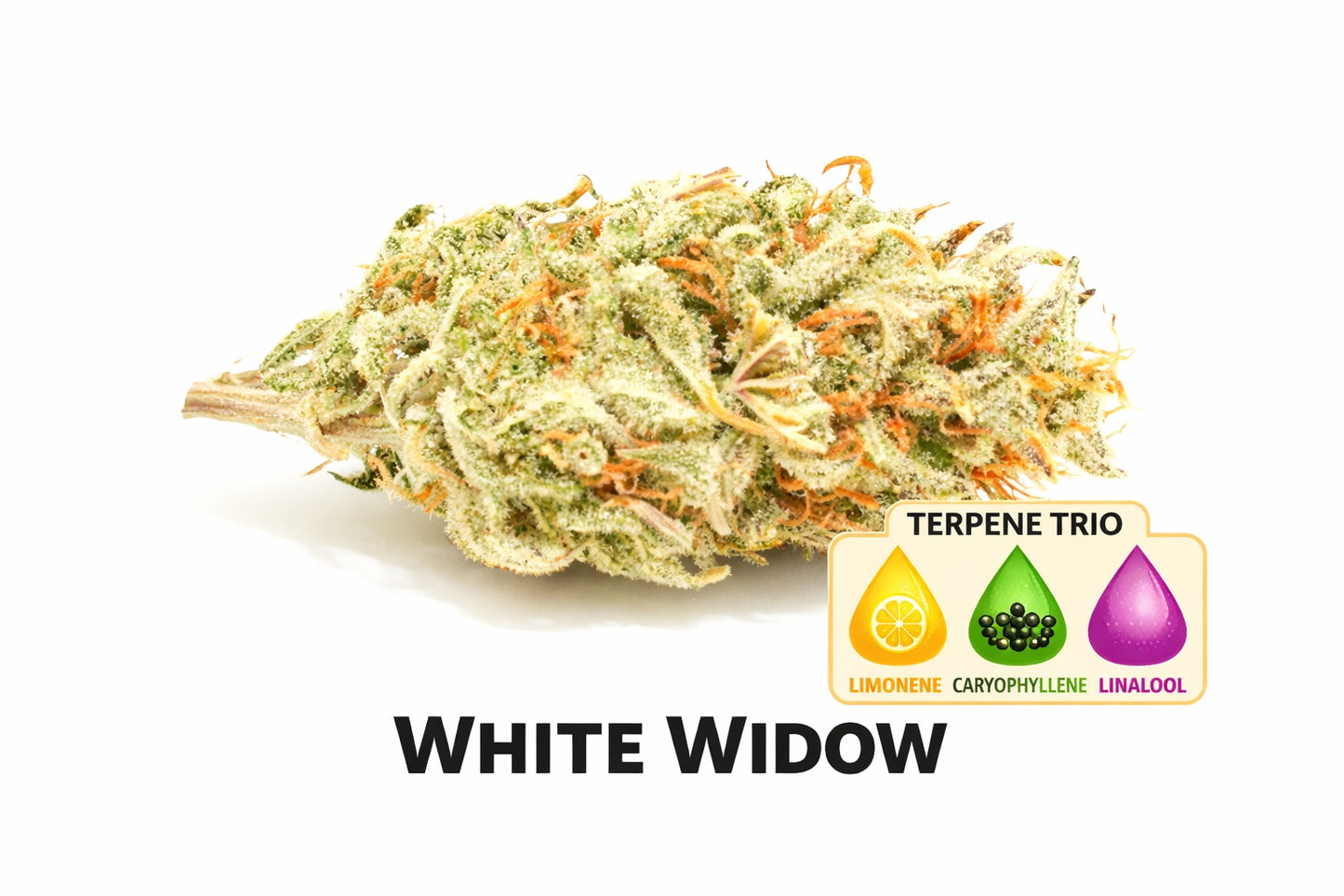 Pre-Rolls White Widow THC 22.49%