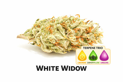 Pre-Rolls White Widow THC 22.49%